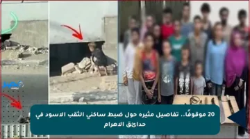 20 موقوفًا.. تفاصيل مثيرة حول ضبط ساكني الثقب الأسود في حدائق الأهرام